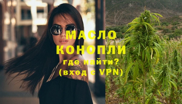 гашик Пересвет