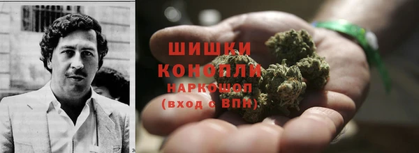 ГАЛЛЮЦИНОГЕННЫЕ ГРИБЫ Покров