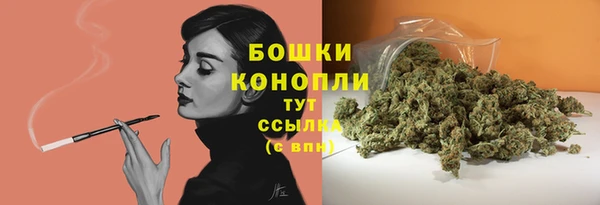 ГАЛЛЮЦИНОГЕННЫЕ ГРИБЫ Покров