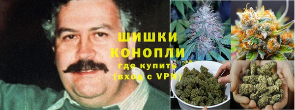 прущая мука Ветлуга
