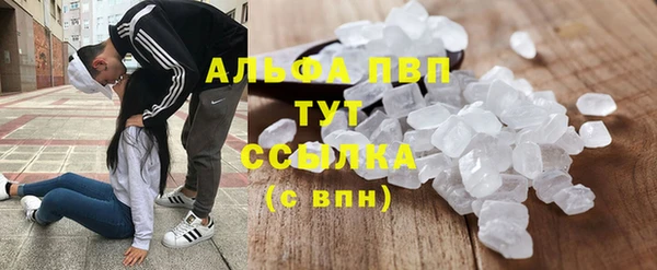 ГАЛЛЮЦИНОГЕННЫЕ ГРИБЫ Покров